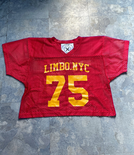LIMBO PRACTICE JERSEY “HICKORY”