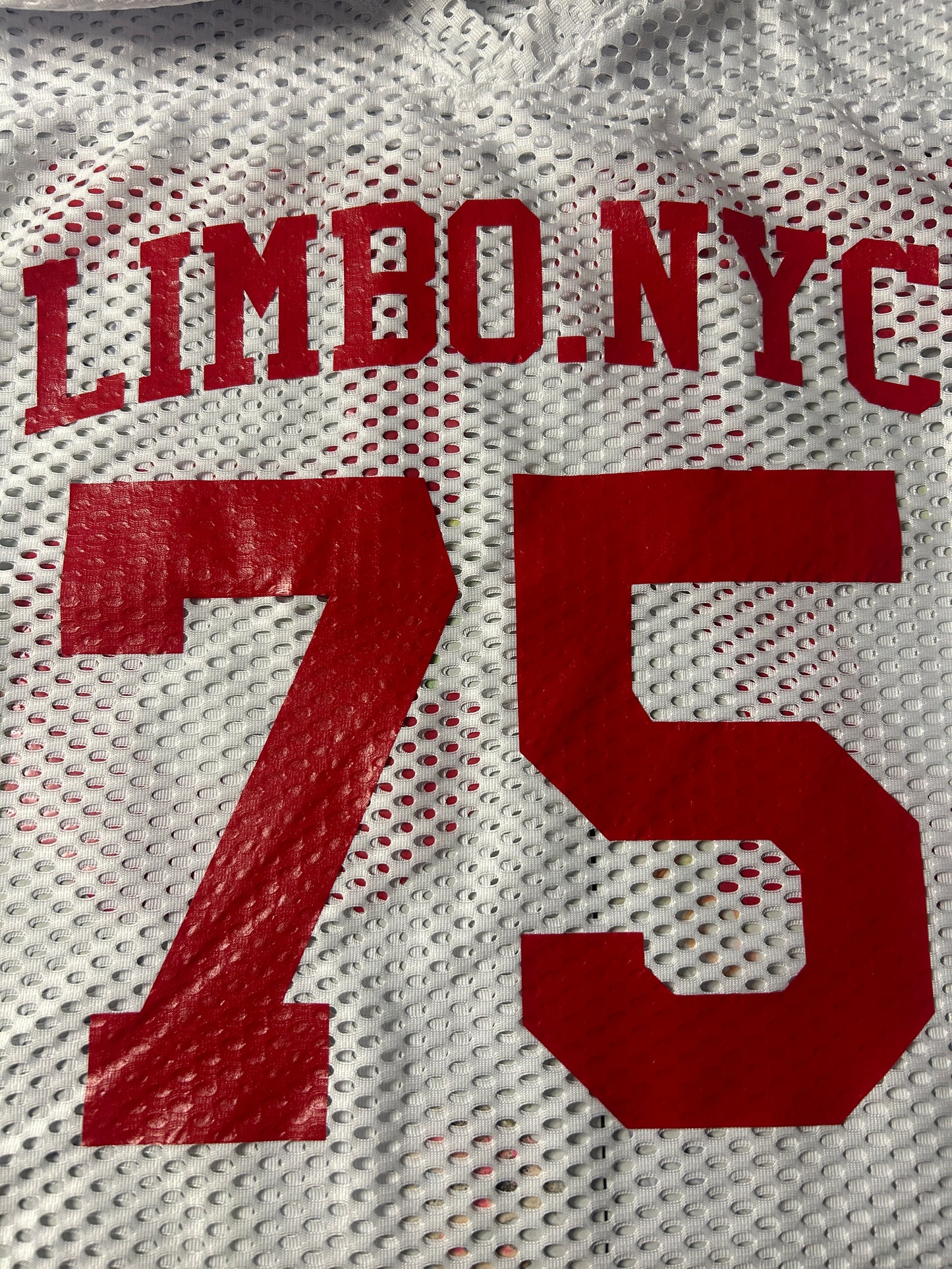 LIMBO PRACTICE JERSEY “BULLS”