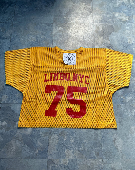 LIMBO PRACTICE JERSEY “REVERSE FLASH”