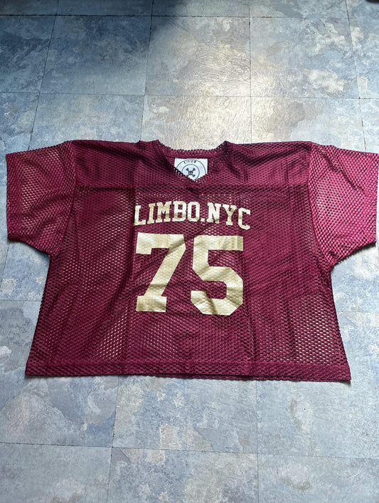 LIMBO PRACTICE JERSEY “BRONZE”