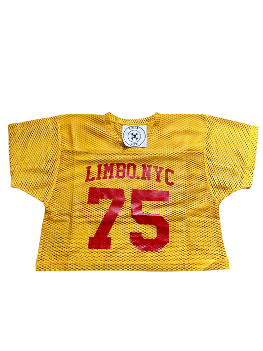 LIMBO PRACTICE JERSEY “REVERSE FLASH”