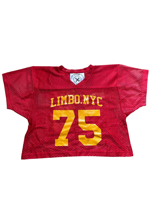 LIMBO PRACTICE JERSEY “HICKORY”